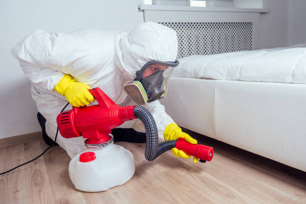 Trusted Combee Settlement, FL Pest Control Experts