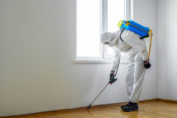 Best Termite Control Services  in Combee Settlement, FL