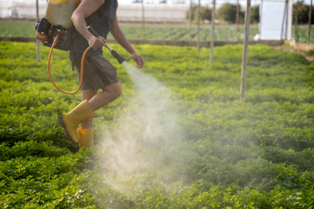 Best Emergency Pest Control  in Combee Settlement, FL