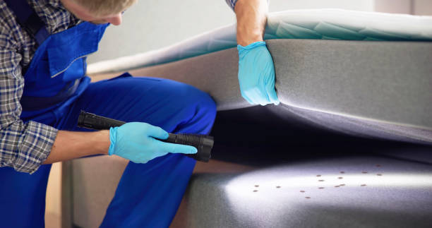 Best Bed Bug Extermination  in Combee Settlement, FL